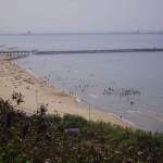 la spiaggia (ryoga)