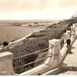 il porto - anni 50