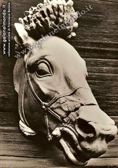 museo - testa di cavallo in terracotta V sec. a.c.